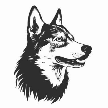 Kuzey Eskimo Köpek silueti, Tarz Siyah ve Beyaz Simge Düz Vektör Tasarımı.