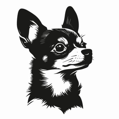 Apple Head Chihuahua silueti, Ebedi Siyah ve Beyaz Vektör Siluet Tasarımı.