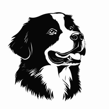 Bernese Dağı Köpek silueti, Minimalist Düz Siyah ve Beyaz Siluet Simgesi.