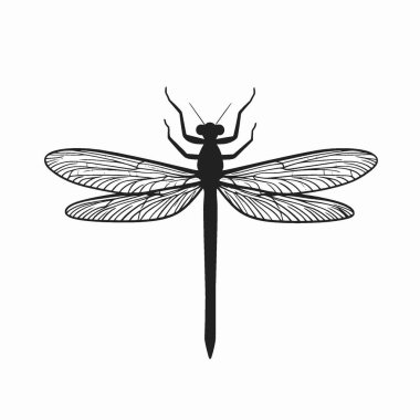 Projeler için Mayfly silueti, Çok Yönlü Siyah ve Beyaz Vektör Simgesi.
