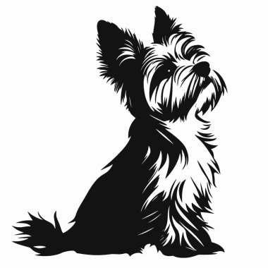 Biewer Terrier silueti, Zarif Siyah ve Beyaz Siluet Düz Simge.