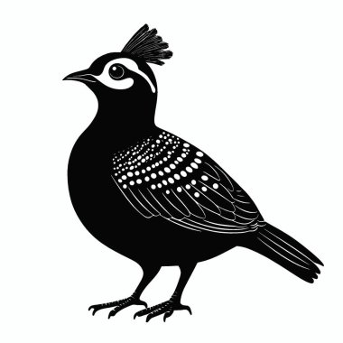 King Quail silhouette,Minimalist Flat Black and White Silhouette Icon. clipart