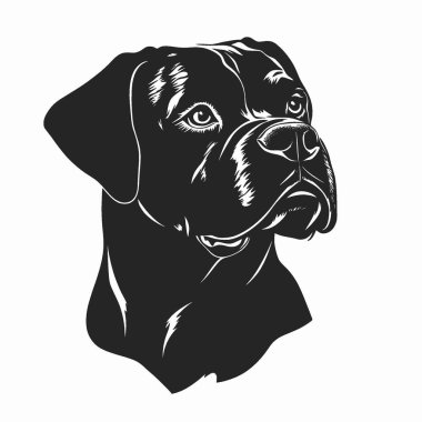 Boerboel silueti, Siyah ve Beyaz Siluet Tasarım için Vektör Simgesi.