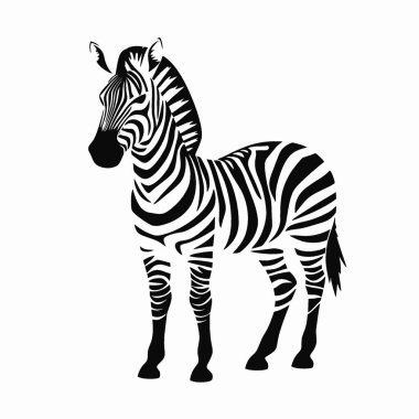 Zebra silueti, Grafikler için Şık Tek Renkli Vektör Silueti.
