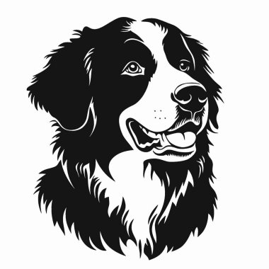 Bernedoodle silhouette,Stylish Black and White Icon Flat Vector Design. clipart