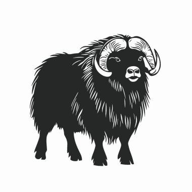 Muskox düz vektör simgesi, Modern Siyah ve Beyaz Siluet Düz Simge.