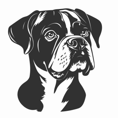 Boxer köpek düz vektör simgesi, Siyah ve Beyaz Siluet Tasarım Vektörü Simgesi.