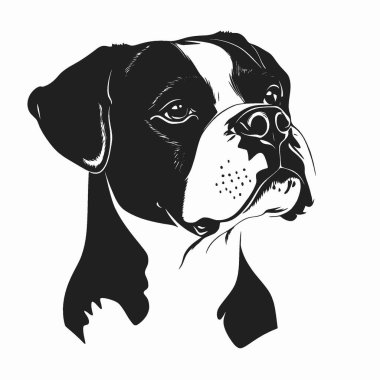 Boxer köpek düz vektör simgesi, Siyah ve Beyaz Siluet Tasarım Vektörü Simgesi.