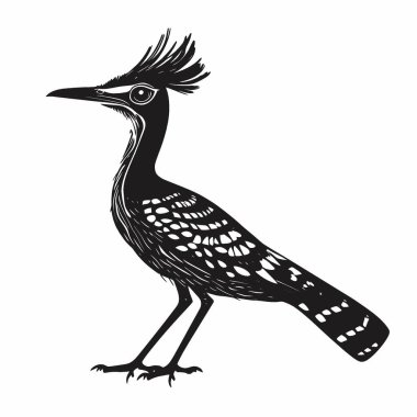 Roadrunner silueti, Siyah ve Beyaz Siluet Tasarım için Vektör Simgesi.