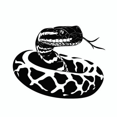 Gaboon Viper silhouette,Versatile Black and White Vector Icon for Projects. clipart