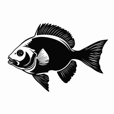 Oscar Fish silueti, Ebedi Siyah ve Beyaz Vektör Siluet Tasarımı.