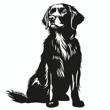 Flat Coated Retriever silhouette,Minimalist Flat Black and White Silhouette Icon. clipart