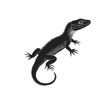 Caiman Lizard silhouette,Minimalist Flat Black and White Silhouette Icon. clipart