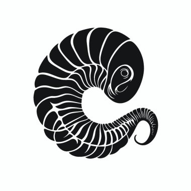 Nautilus silueti, Modern Siyah ve Beyaz Siluet Düz Simge.