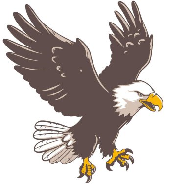 Kel Kartal Vektör İllüstrasyon Kuşu, Raptor, Vahşi Yaşam, Amerikan, Simge.