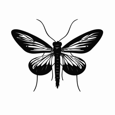 Achrioptera Manga silhouette,Versatile Black and White Vector Icon for Projects. clipart