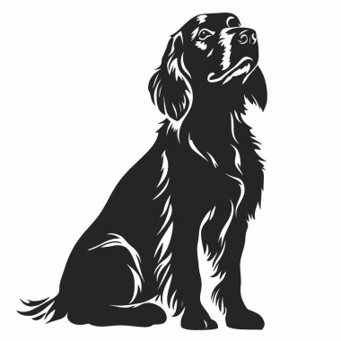 Picardy Spaniel silueti, Marka için Basit Siyah ve Beyaz Siluet.