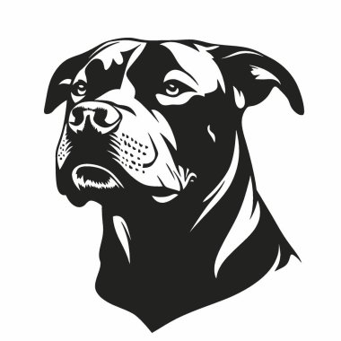 Pitbull silueti, Temiz Siyah ve Beyaz Vektör Siluet Sanatı.