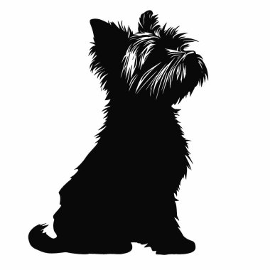 Morkie silueti, Modern Siyah ve Beyaz Siluet Düz Simge.