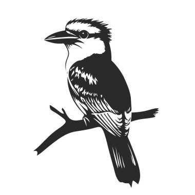 Kookaburra silhouette,Simple Black and White Silhouette for Branding. clipart