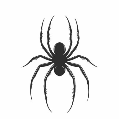 Joro Spider silhouette,Versatile Black and White Vector Icon for Projects. clipart