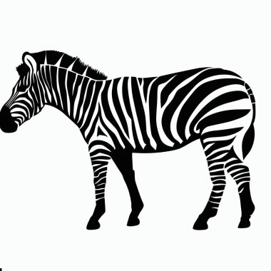 Çizgili Desenli, Egzotik ve Afrika Vahşi Yaşam Vektörü İllüstrasyonlu Zebra Silueti