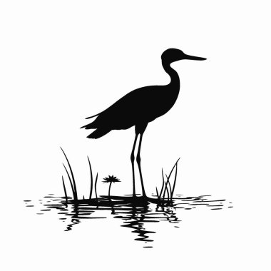 Bronz kanatlı Jacana silueti, Ebedi Siyah ve Beyaz Vektör Siluet Tasarımı.