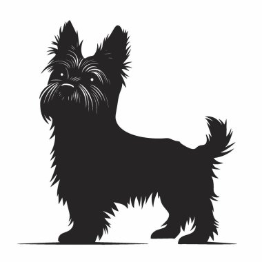 Cairn Terrier silueti, Tarz Siyah ve Beyaz Simge Düz Vektör Tasarımı.