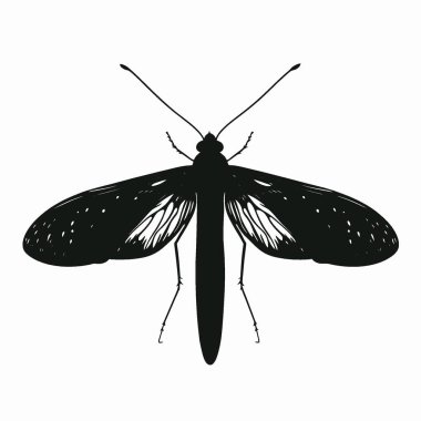 Dobsonfly silhouette,Chic Monochrome Vector Silhouette for Graphics. clipart