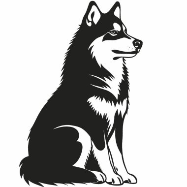 Projeler için Alaska Husky silueti, Çok Yönlü Siyah ve Beyaz Vektör Simgesi.