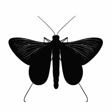 Indianmeal Moth silhouette,Elegant Black and White Silhouette Flat Icon. clipart