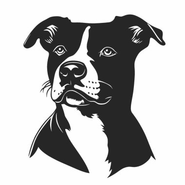Pitbull silueti, Temiz Siyah ve Beyaz Vektör Siluet Sanatı.