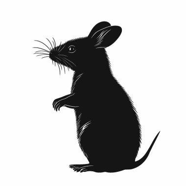 Potoroo silhouette,Elegant Black and White Silhouette Flat Icon. clipart