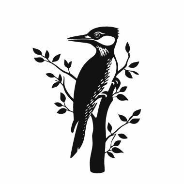 Woodpecker silhouette,Black and White Silhouette Vector Icon for Design. clipart