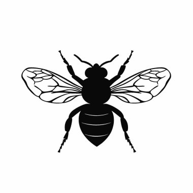 Bumblebee silueti, Ebedi Siyah ve Beyaz Vektör Siluet Tasarımı.