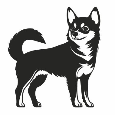 Alaska Klee Kai silueti, Grafikler için Tek Renkli Vektör Silueti.