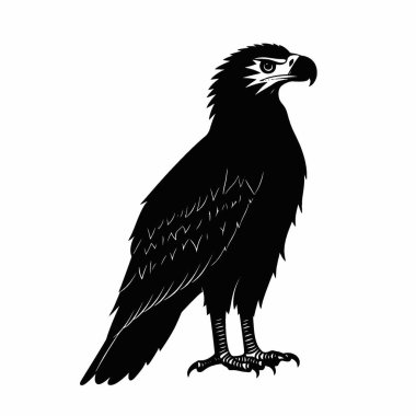 Projeler için Meksika Kartalı (Kuzey armalı caracara) silueti, Çok Yönlü Siyah ve Beyaz Vektör Simgesi.