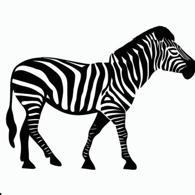 Çizgili Desenli, Egzotik ve Afrika Vahşi Yaşam Vektörü İllüstrasyonlu Zebra Silueti