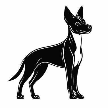 Basenji Köpek silueti, Siyah ve Beyaz Siluet Tasarım için Vektör Simgesi.