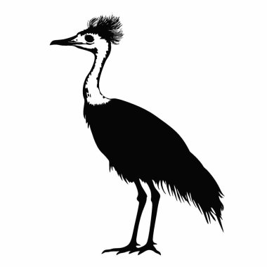 Kori Bustard silhouette,Simple Black and White Silhouette for Branding. clipart