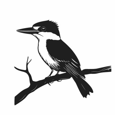 Kingfisher flat vector icon,Elegant Black and White Silhouette Flat Icon. clipart