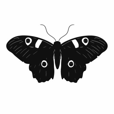 Cecropia Moth silhouette,Black and White Silhouette Vector Icon for Design. clipart