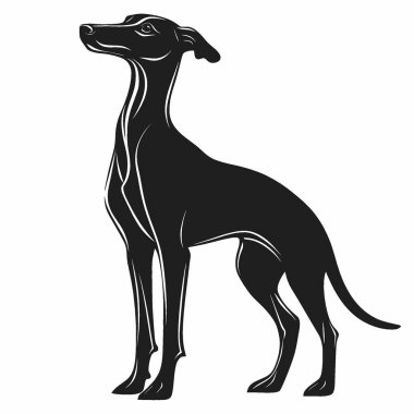 Whippet silhouette,Modern Black and White Silhouette Flat Icon. clipart