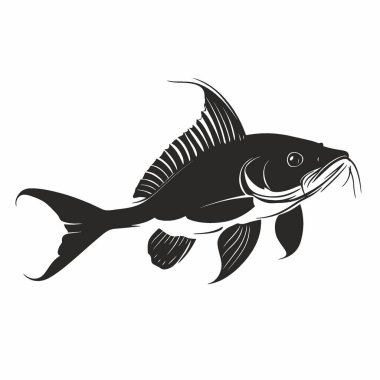 Flathead Catfish silueti, Grafikler için Chic Monochrome Vektör Silueti.