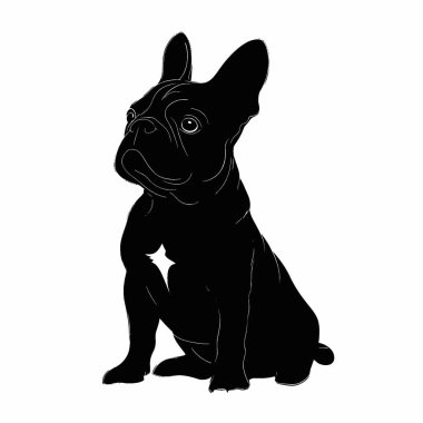Fransız Bulldog silueti, Projeler için Çok Yönlü Siyah ve Beyaz Vektör Simgesi.