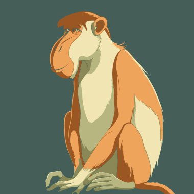 Proboscis Monkey Vector Art Simple Shaped Monkey, Primate, Wildlife, Icon. clipart