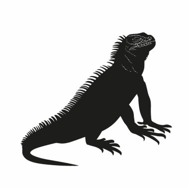 Galapagos Land Iguana düz vektör simgesi, Projeler için Çok Yönlü Siyah ve Beyaz Vektör Simgesi.