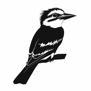 Kookaburra silhouette,Simple Black and White Silhouette for Branding. clipart