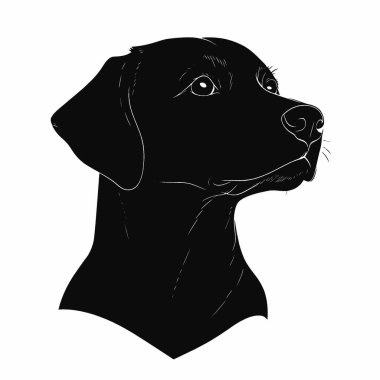 Labradane silueti, Ebedi Siyah ve Beyaz Vektör Siluet Tasarımı.