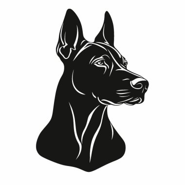 Doberman Pinscher silueti, Grafikler için Tek Renkli Vektör Silueti.